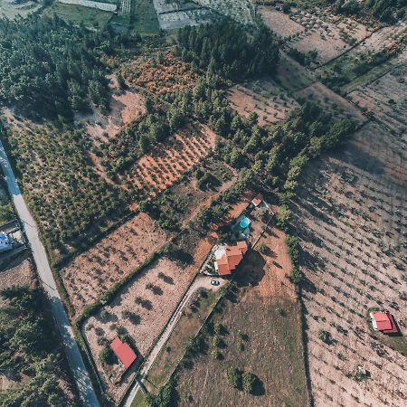 Lugar Dos Vales-Memoravel, Encantador E Autentico! Mirandela Zewnętrze zdjęcie